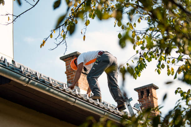 Best Flat Roof Repair Services  in Lehighton, PA